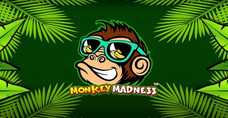 Fitur, Kelebihan dan Cara Bermain Game Slot Monkey Madness Pragmatic Play